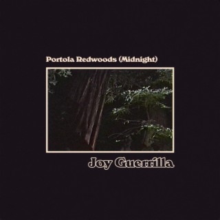 Portola Redwoods (Midnight)