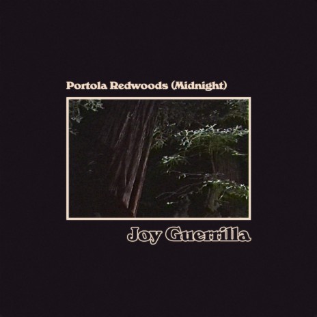 Portola Redwoods (Midnight) | Boomplay Music