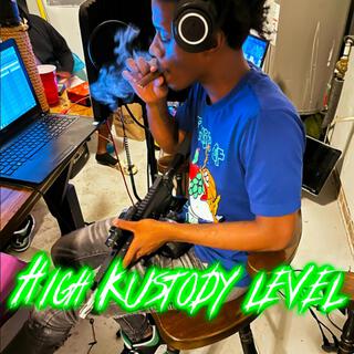 High kustody Level