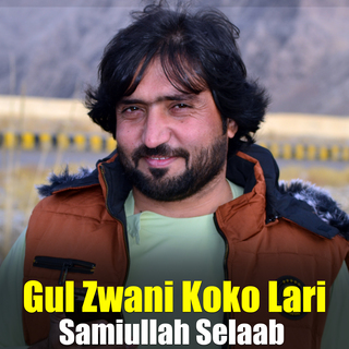 Gul Zwani Koko Lari