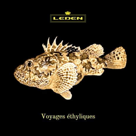 Voyages ethyliques | Boomplay Music