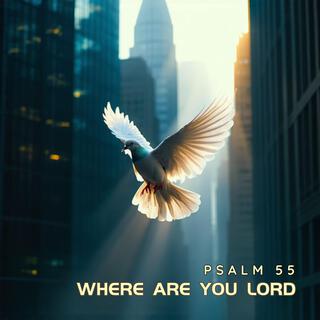 Where Are You Lord (Psalm 55)