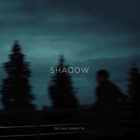 Shadow | Boomplay Music