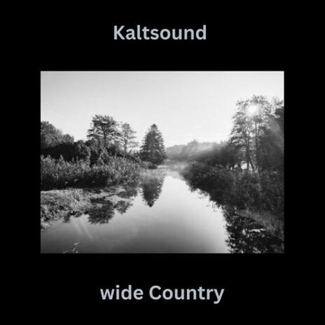 wide country (Dub Tech) | Boomplay Music