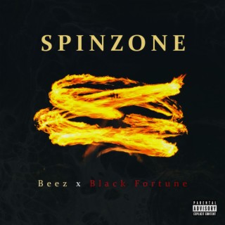 Spinzone