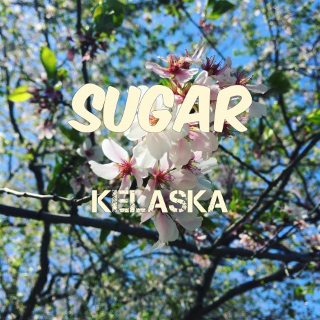 Sugar | Boomplay Music