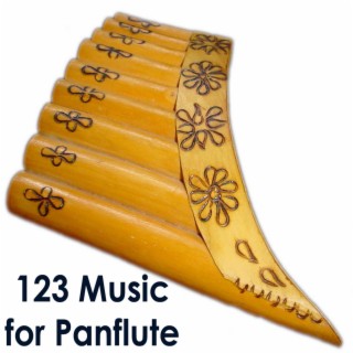 123 Music for Panflute