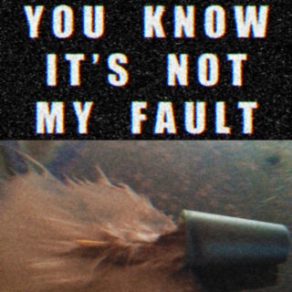 You Know It's Not My Fault lyrics | Boomplay Music