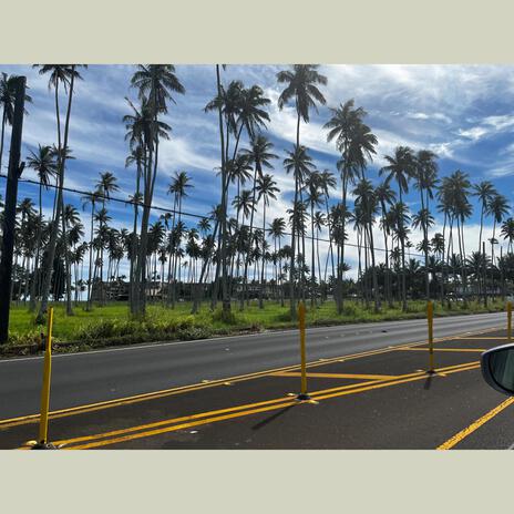 Found In Hawaii | Boomplay Music