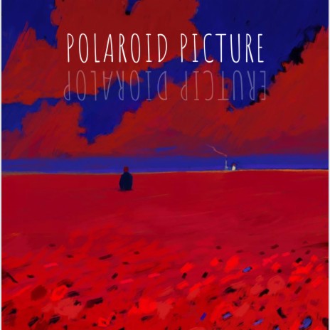 Polaroid Picture