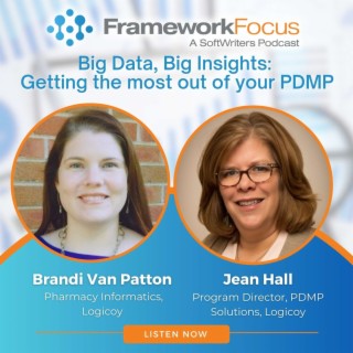 Big Data, Big Insights: Getting the most out of your PDMP (ft. Logicoy) | Framework Focus