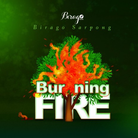 Burning Fire