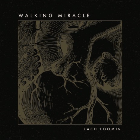 Walking Miracle (feat. Mike Donehey) | Boomplay Music