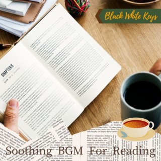 Soothing BGM For Reading