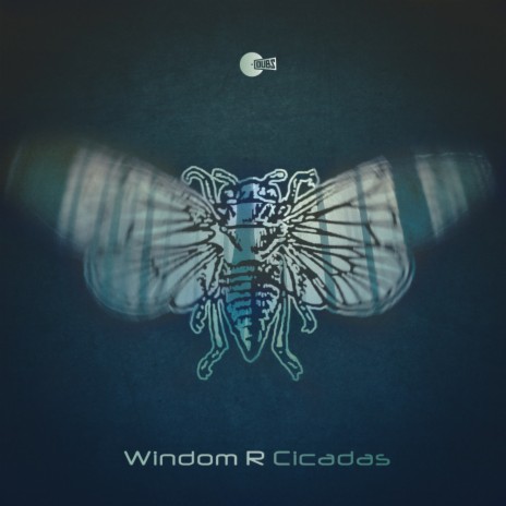 Cicadas (NNP Remix)