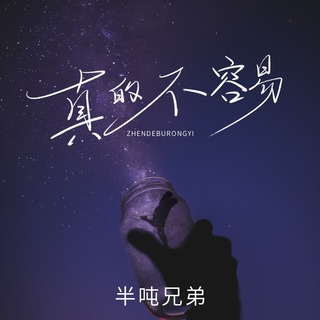 真的不容易 (DJ九零版伴奏) lyrics | Boomplay Music