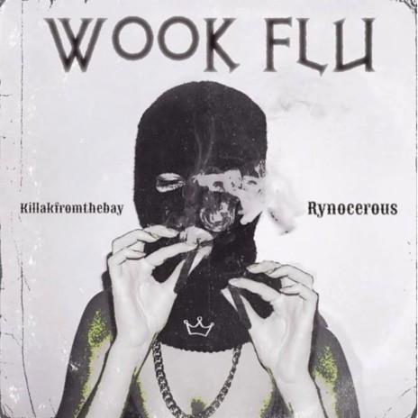 Wook Flu ft. Rynocerous & 2Wooks | Boomplay Music