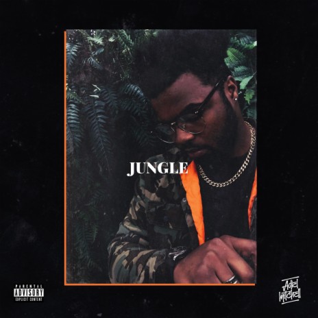 Jungle | Boomplay Music