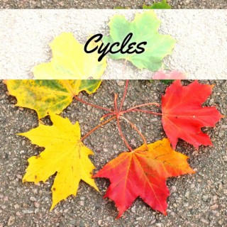 Cycles