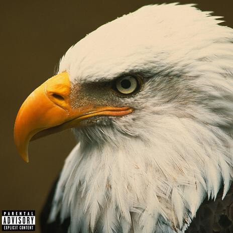 Eagle Eye View | Boomplay Music