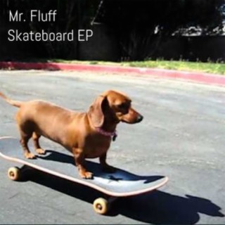 Skateboard EP