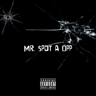 Mr Spot a Opp