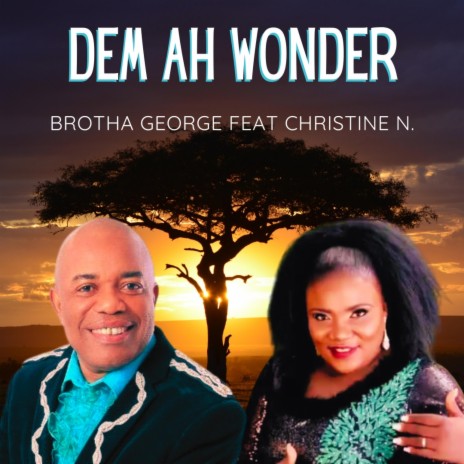 Dem Ah Wonder ft. Christine N | Boomplay Music