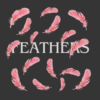 Feathers