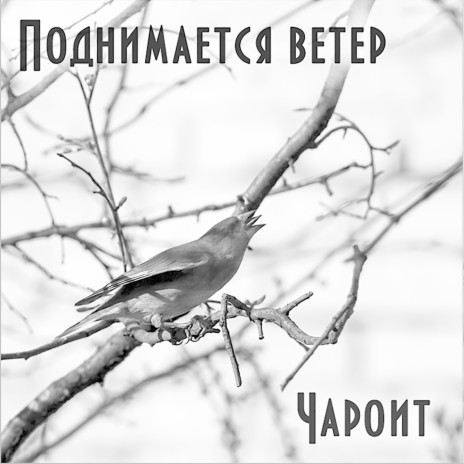 Поднимается ветер | Boomplay Music