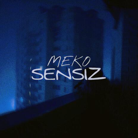 Sensiz