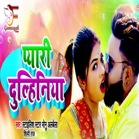 Pyari Dulahiniya ft. Shilpi Raj | Boomplay Music