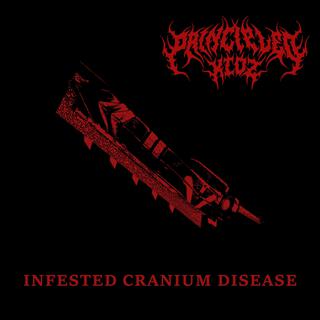 Infested Cranium Disease