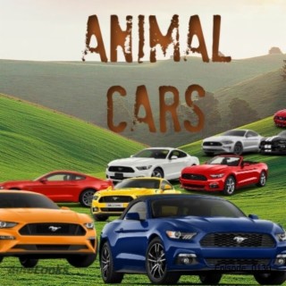 Animal Cars