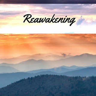 Reawakening