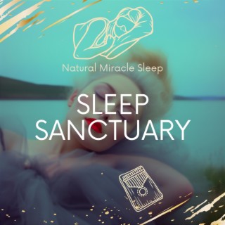 Sleep Sanctuary