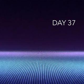 Day 37