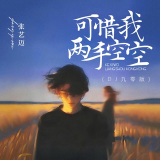 可惜我两手空空 (DJ九零版) lyrics | Boomplay Music