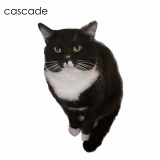 Cascade (White Album)