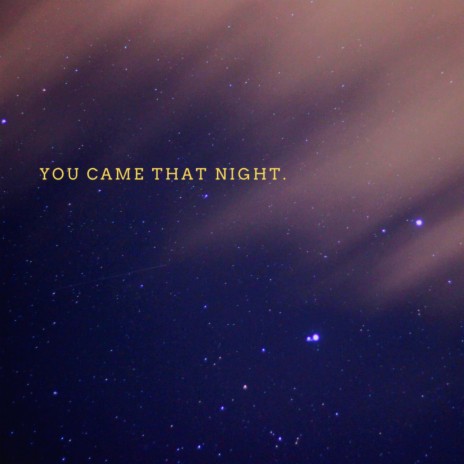 You came that night | Boomplay Music