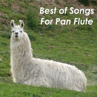 Best of songs for Pan Flute