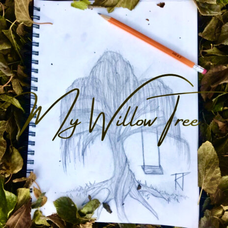 My Willow Tree | Boomplay Music