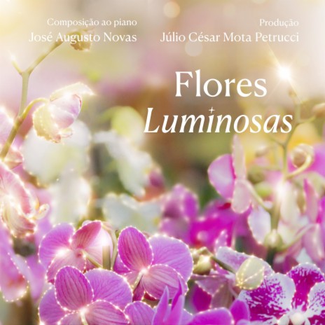 O voo das borboletas sobre as flores de luz | Boomplay Music