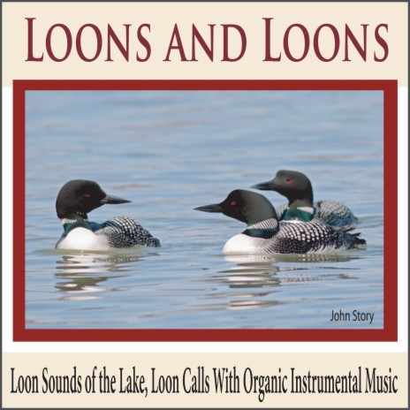 Morning Loon Calls (with Soothing Music)