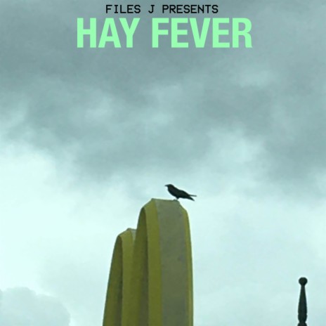 Hay Fever | Boomplay Music