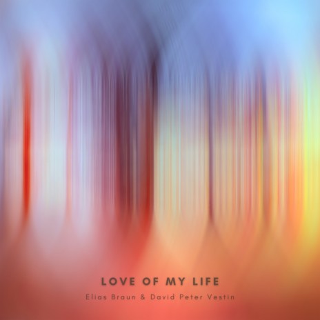 Love of my Life ft. David Peter Vestin | Boomplay Music