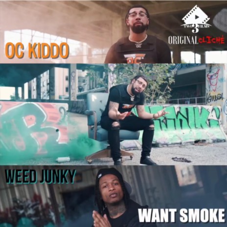 Want Smoke (Remix) ft. WeedJunky | Boomplay Music