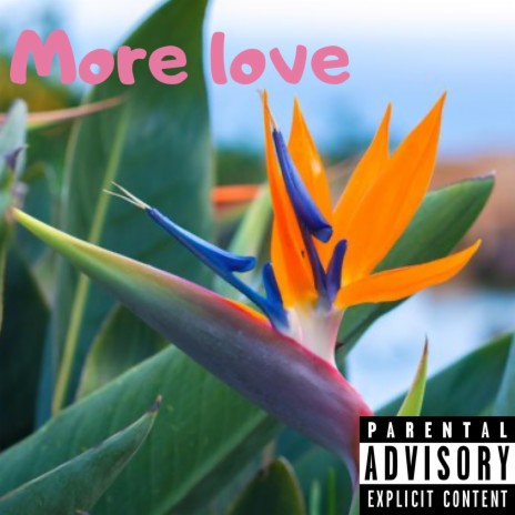 More Love | Boomplay Music