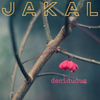 Deciduous (Single)