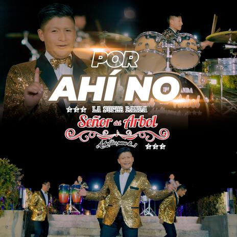 La Super Banda Señor Del Arbol - Por Ahi No | Boomplay Music