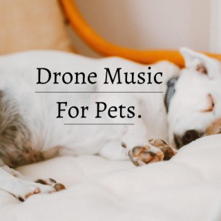 Drone Music For Pets